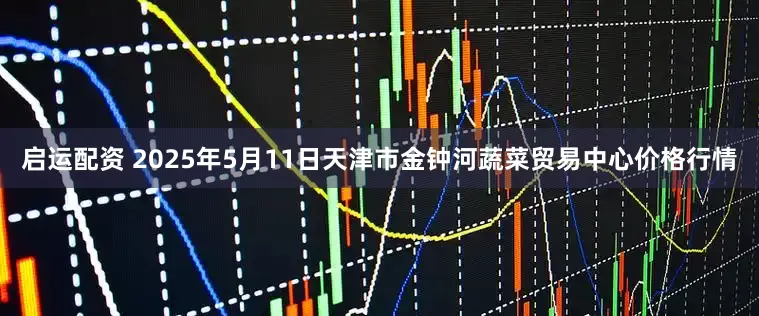 启运配资 2025年5月11日天津市金钟河蔬菜贸易中心价格行情