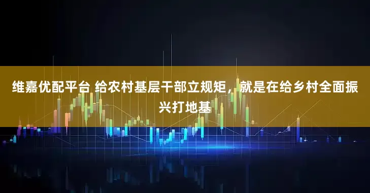 维嘉优配平台 给农村基层干部立规矩，就是在给乡村全面振兴打地基