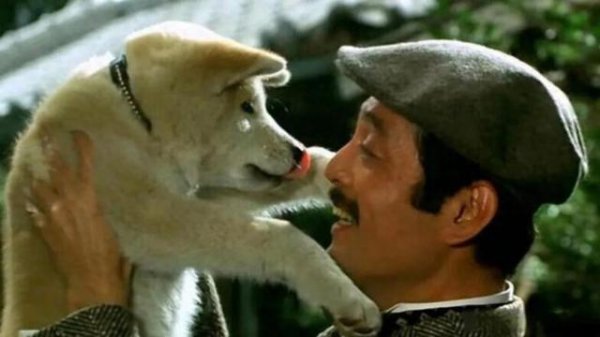 顺升网 一只狗，拯救了好莱坞的脸面，这部“年度最佳”，真牛